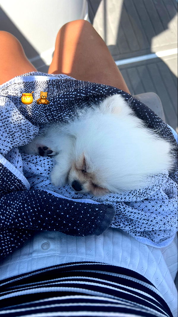 graceboor image ~ Altpins