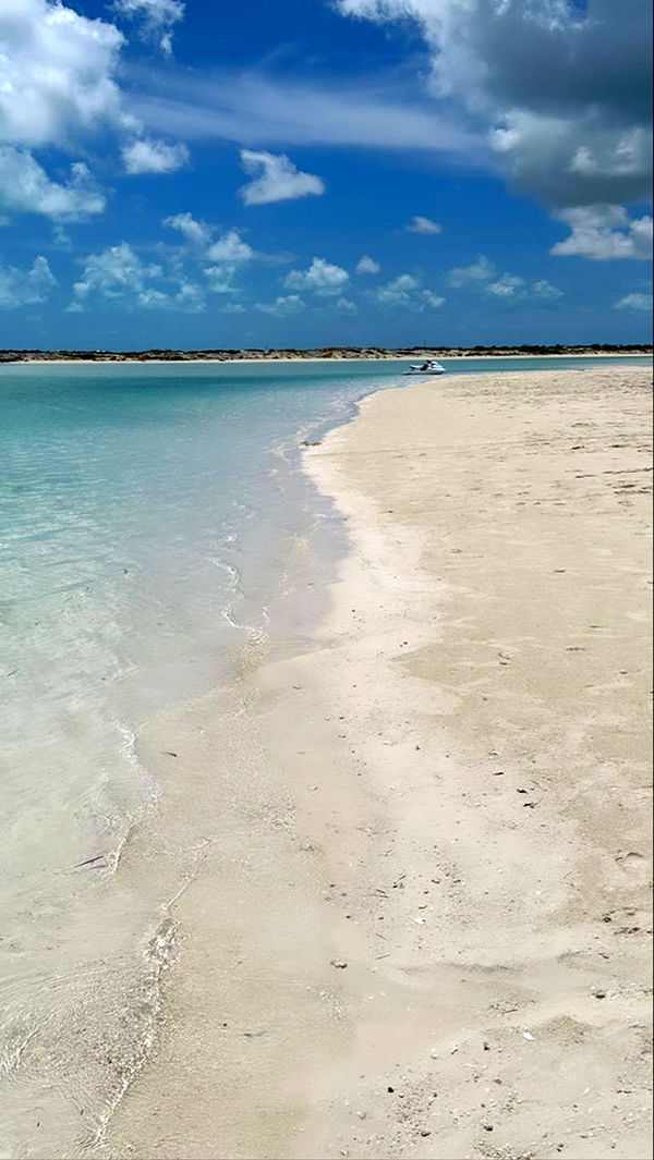 graceboor image ~ Altpins