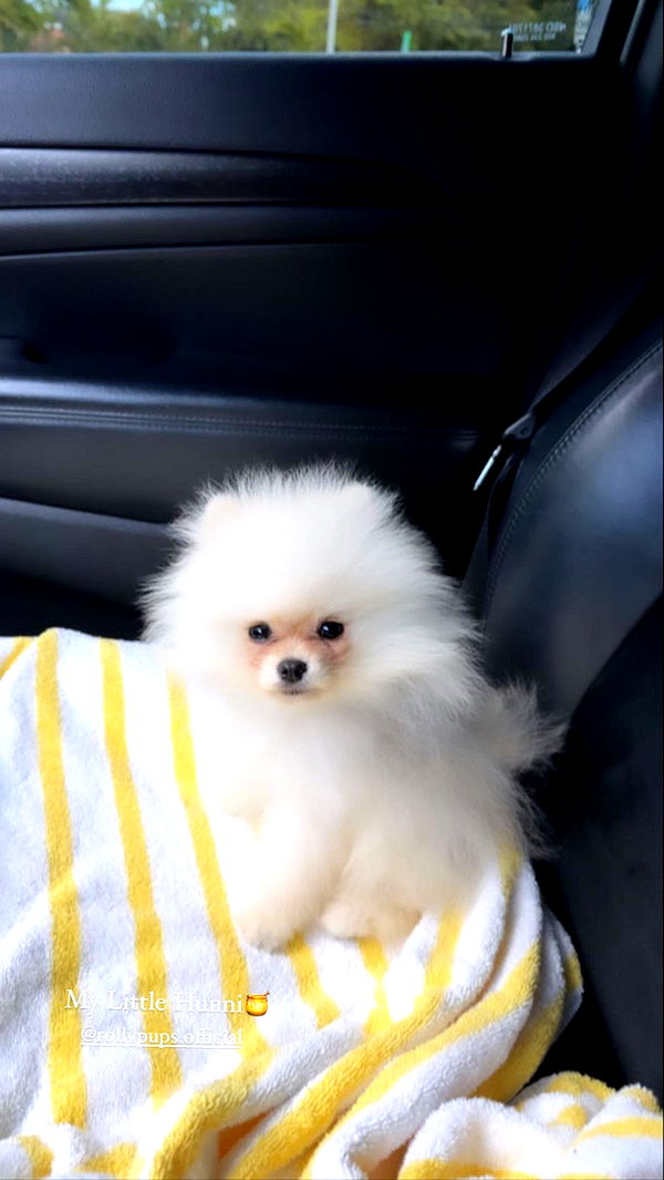 graceboor image ~ Altpins