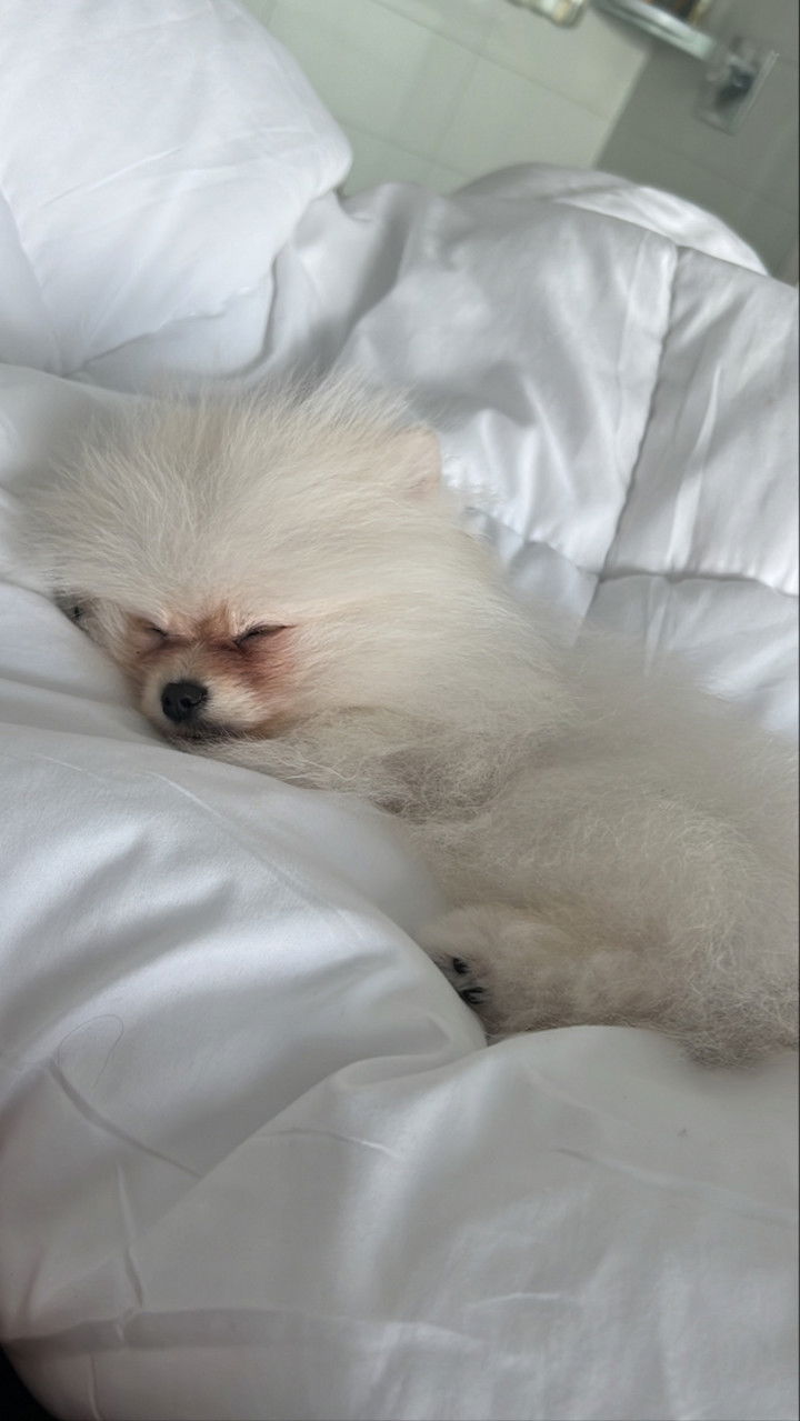 graceboor snapchat image archive image