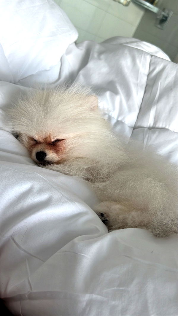 graceboor image ~ Altpins