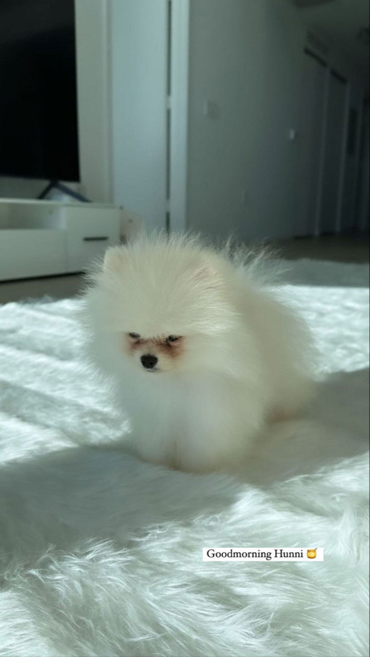 graceboor snapchat image archive image