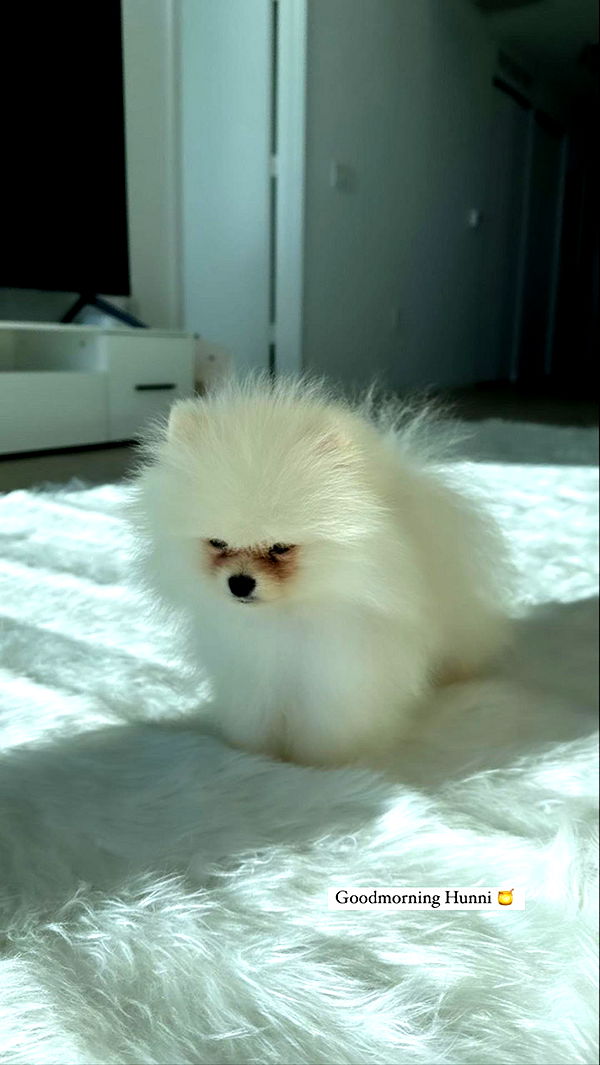 graceboor image ~ Altpins