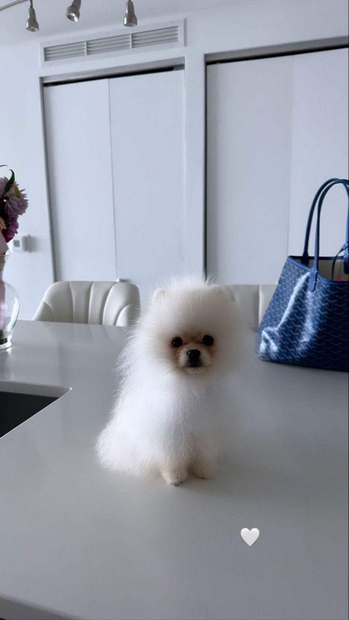 graceboor snapchat image archive image