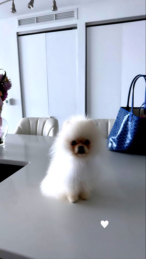 graceboor image ~ Altpins