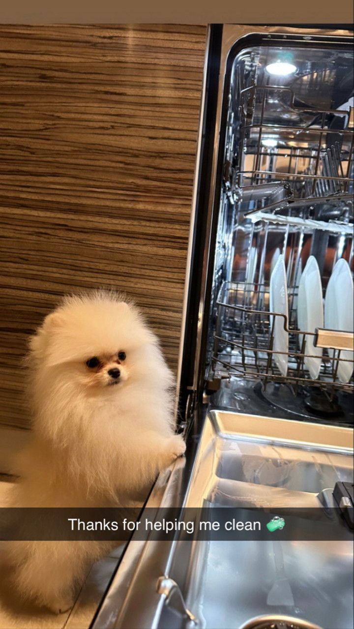 graceboor snapchat image archive image