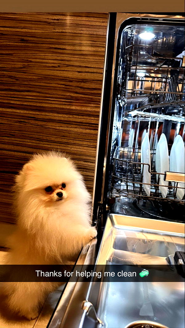 graceboor image ~ Altpins