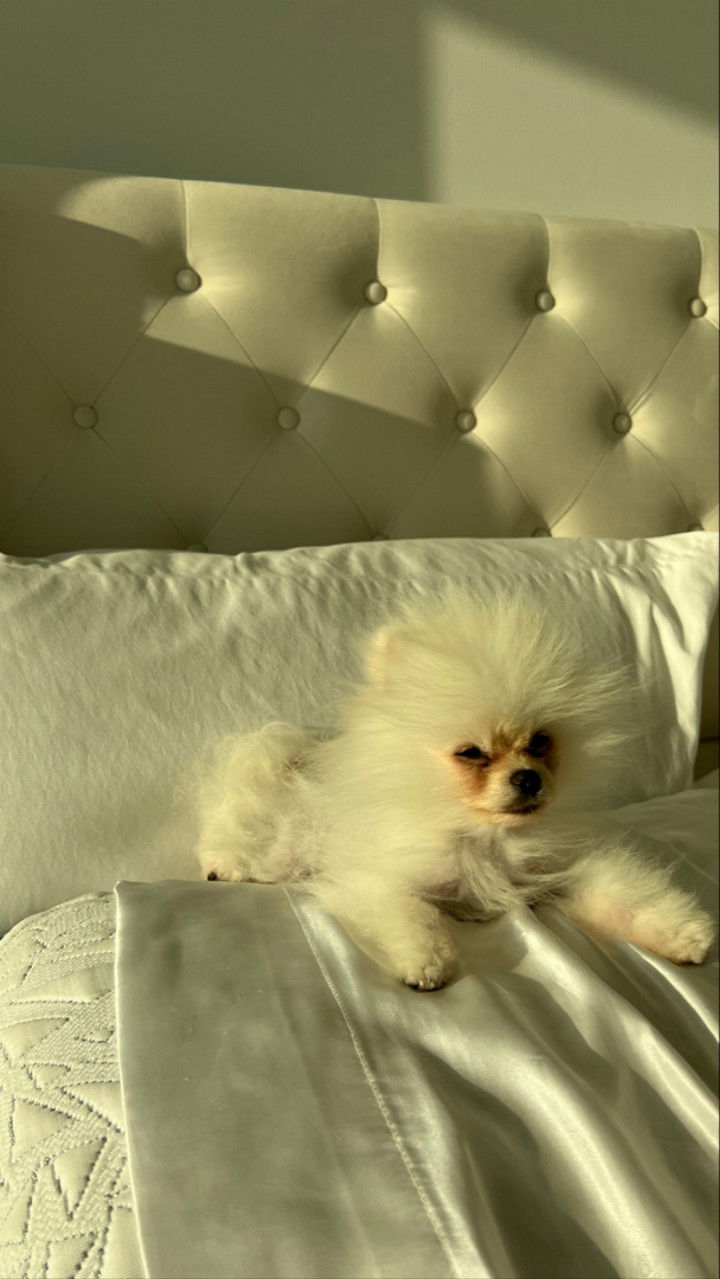 graceboor snapchat image archive image