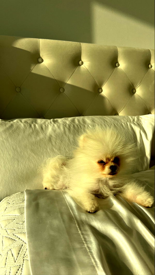 graceboor image ~ Altpins