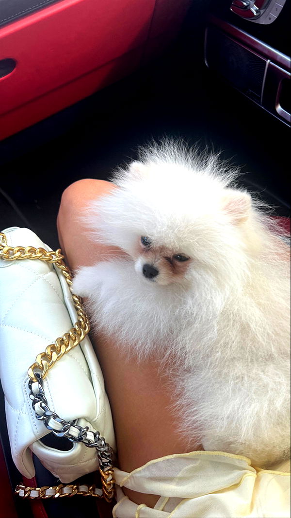 graceboor image ~ Altpins