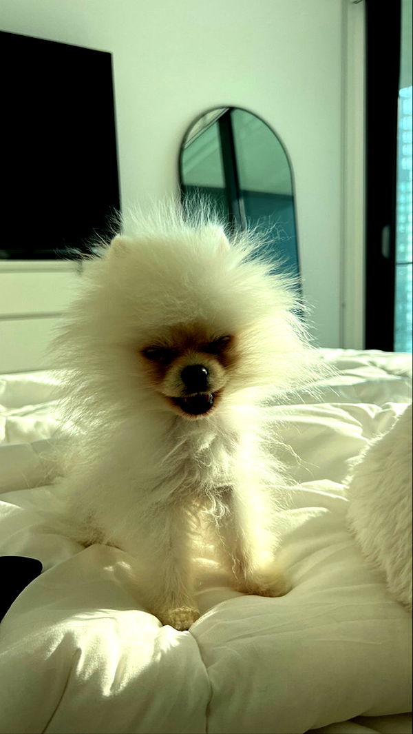 graceboor image ~ Altpins