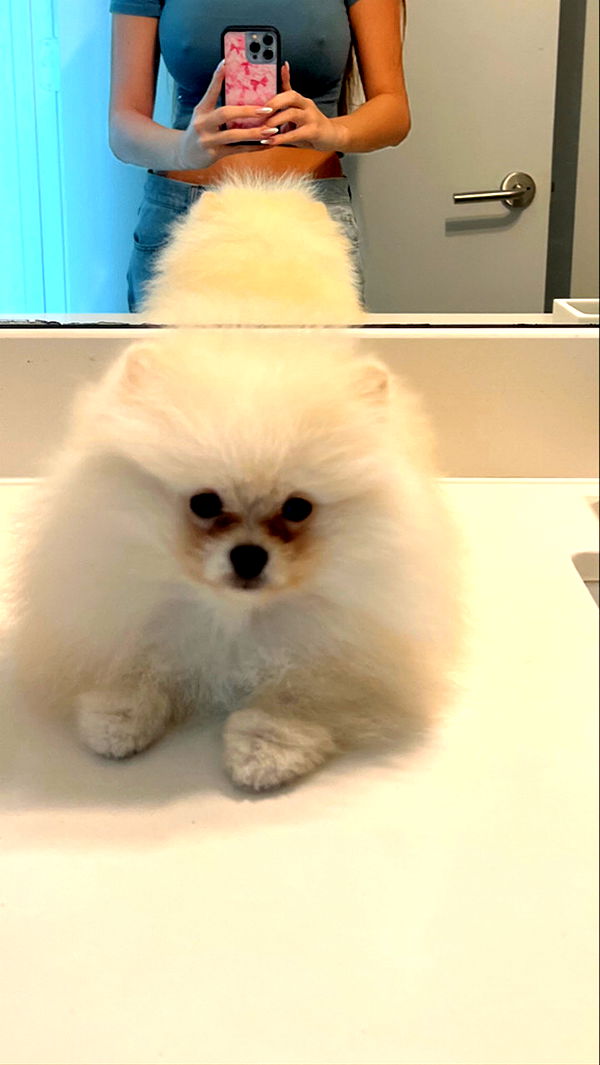 graceboor image ~ Altpins