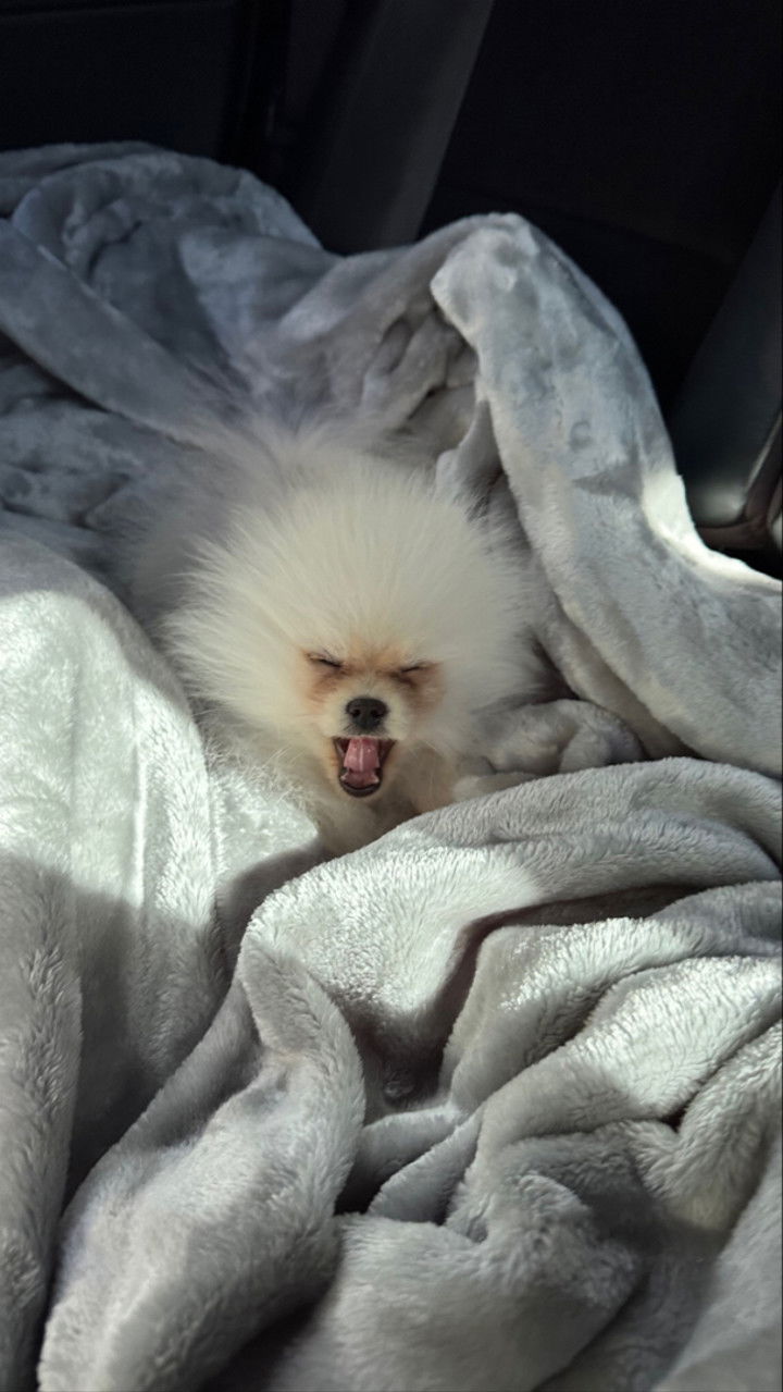 graceboor snapchat image archive image