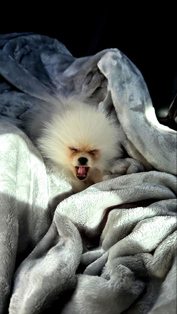 graceboor image ~ Altpins