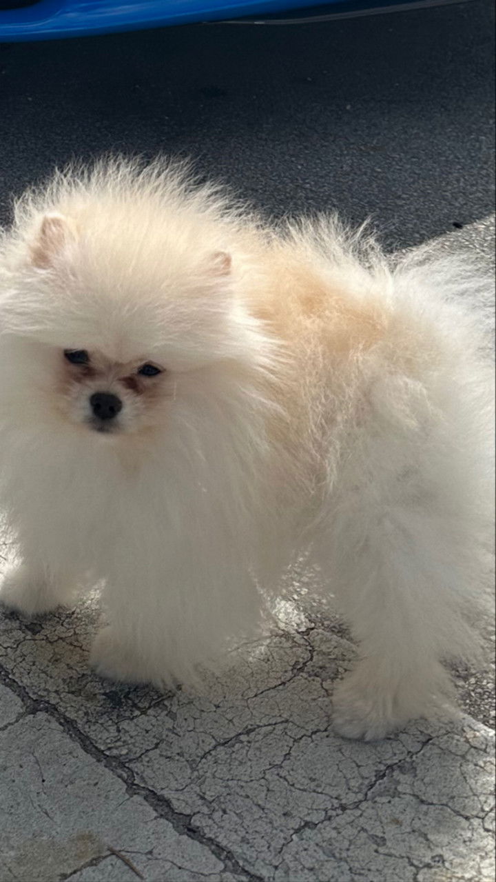 graceboor snapchat image archive image