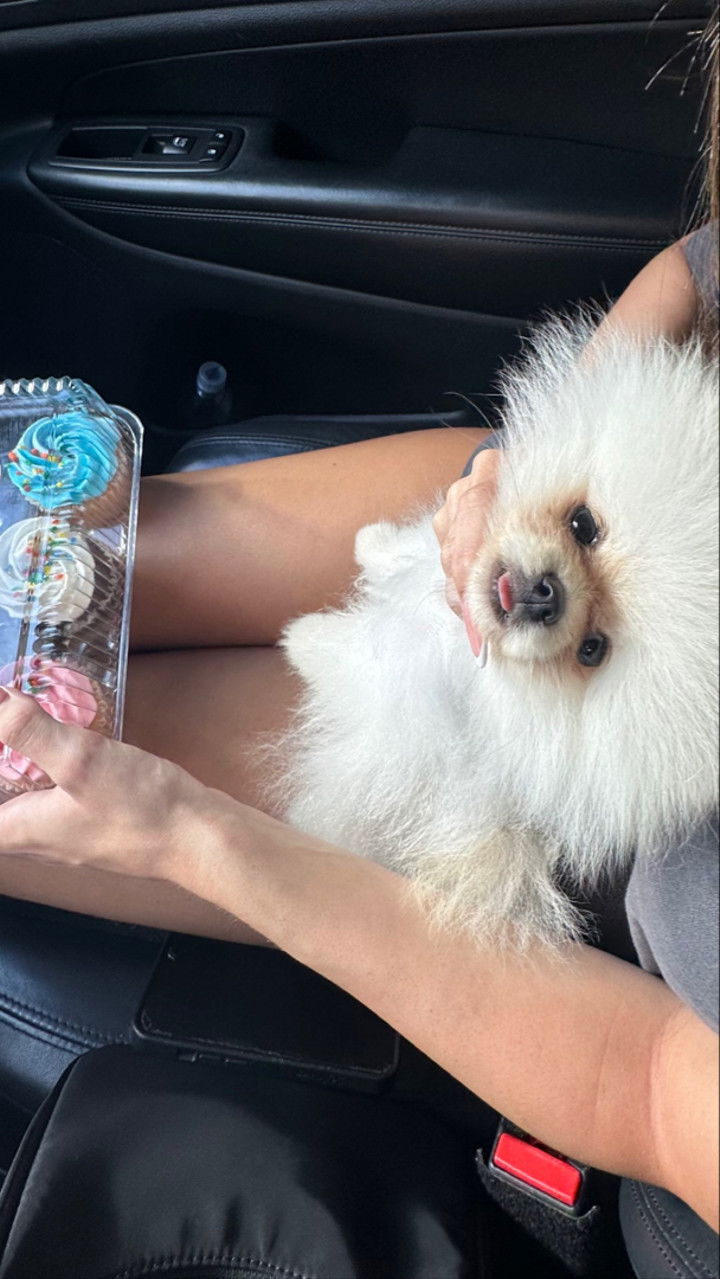 graceboor snapchat image archive image