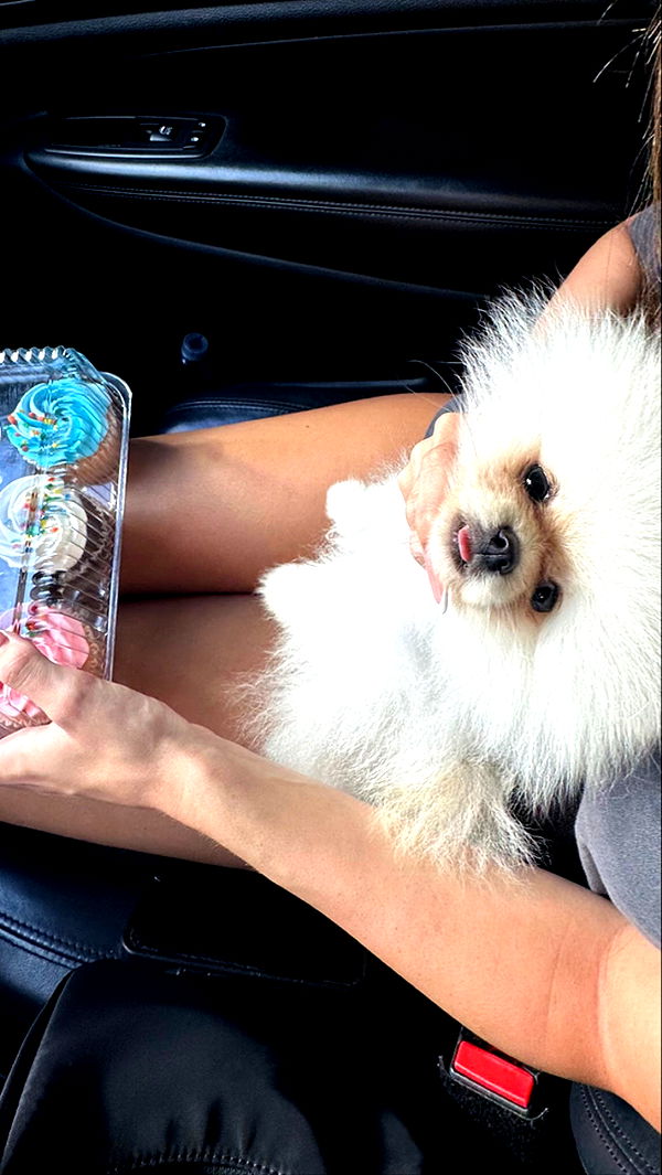 graceboor image ~ Altpins