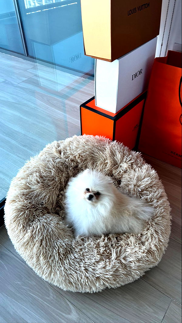 graceboor image ~ Altpins