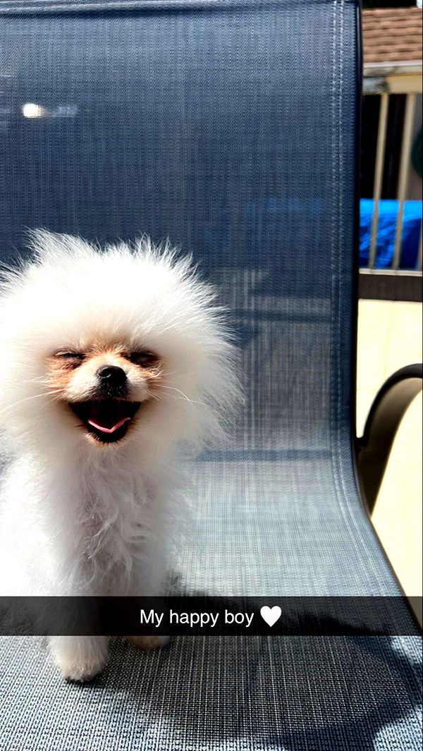 graceboor image ~ Altpins