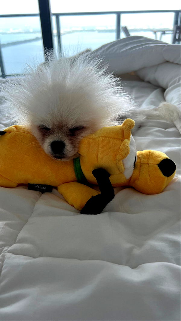 graceboor image ~ Altpins