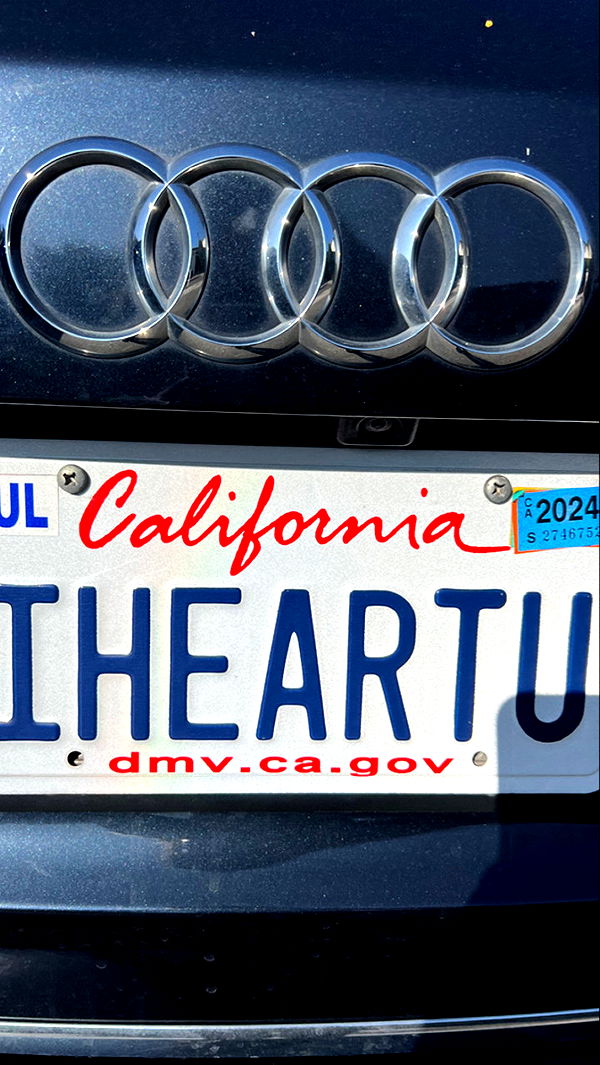 graceboor image ~ Altpins