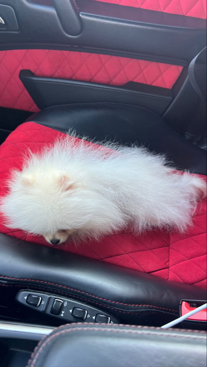 graceboor snapchat image archive image