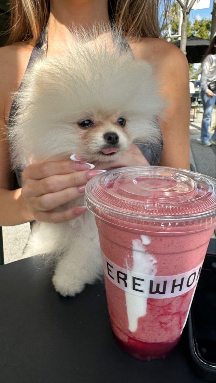 graceboor snapchat image archive image