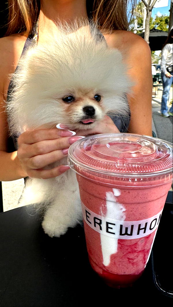 graceboor image ~ Altpins