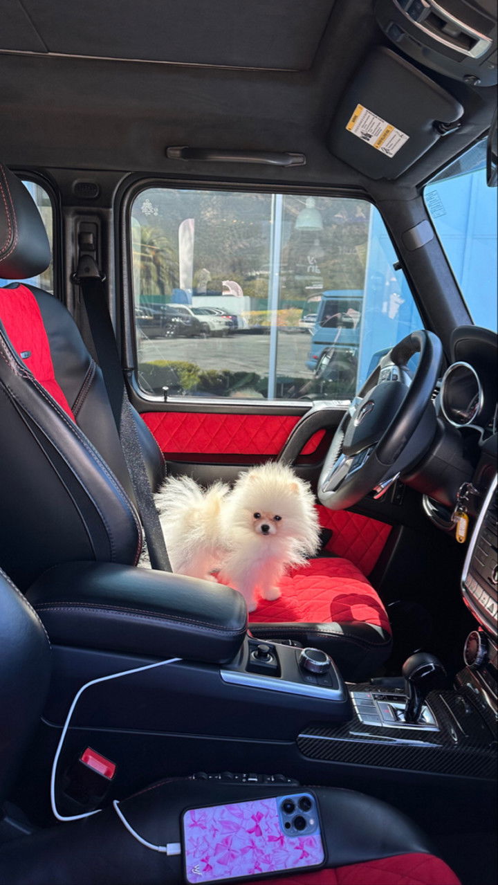 graceboor snapchat image archive image