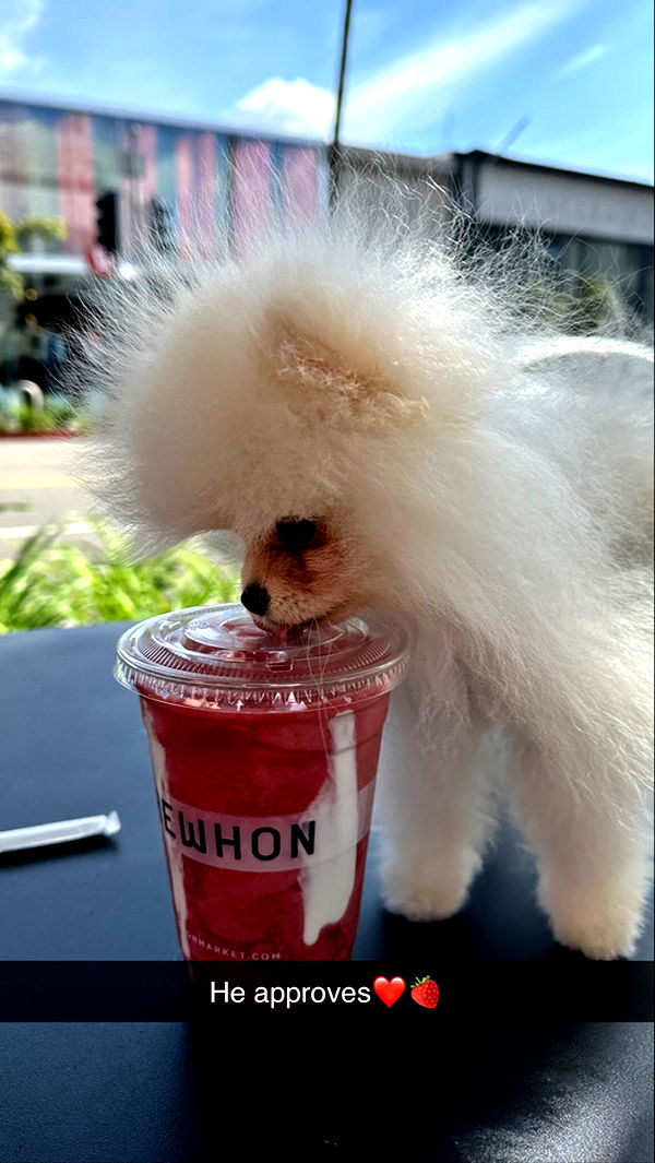 graceboor image ~ Altpins