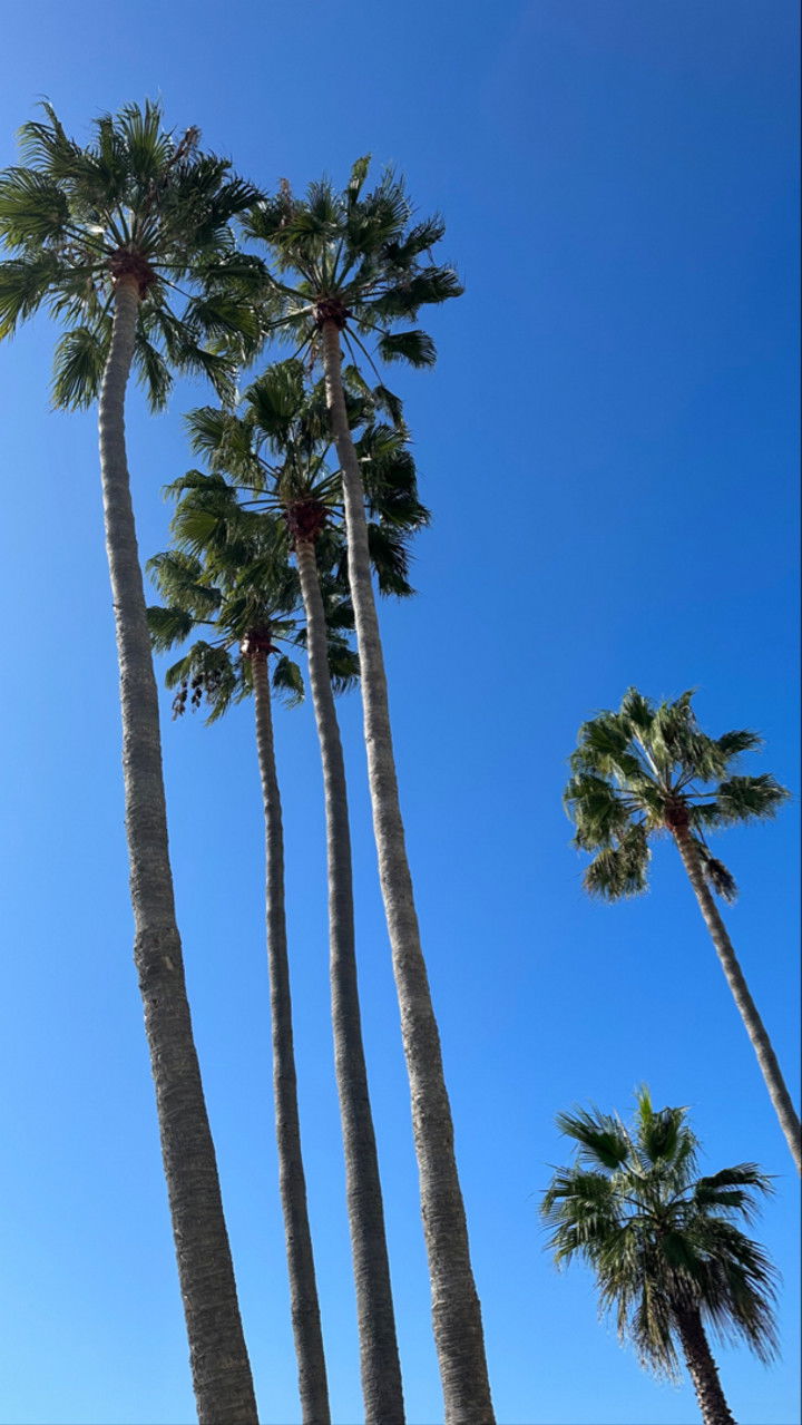 graceboor snapchat image archive image