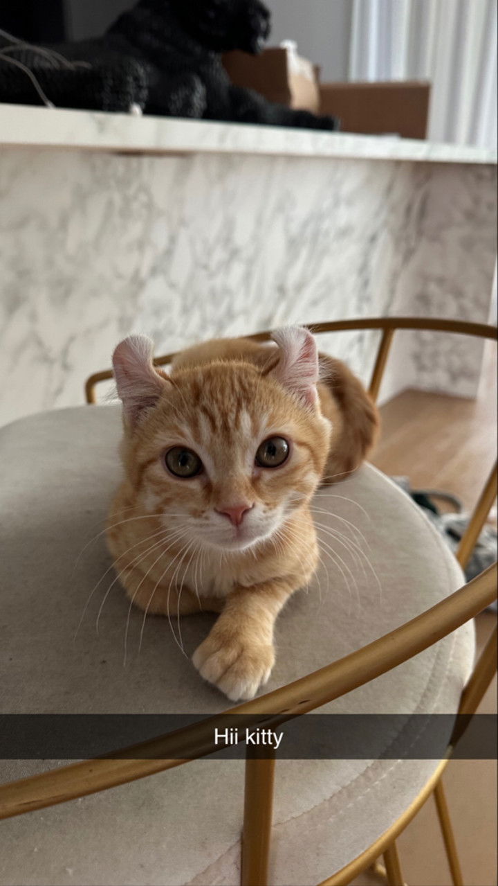 graceboor snapchat image archive image