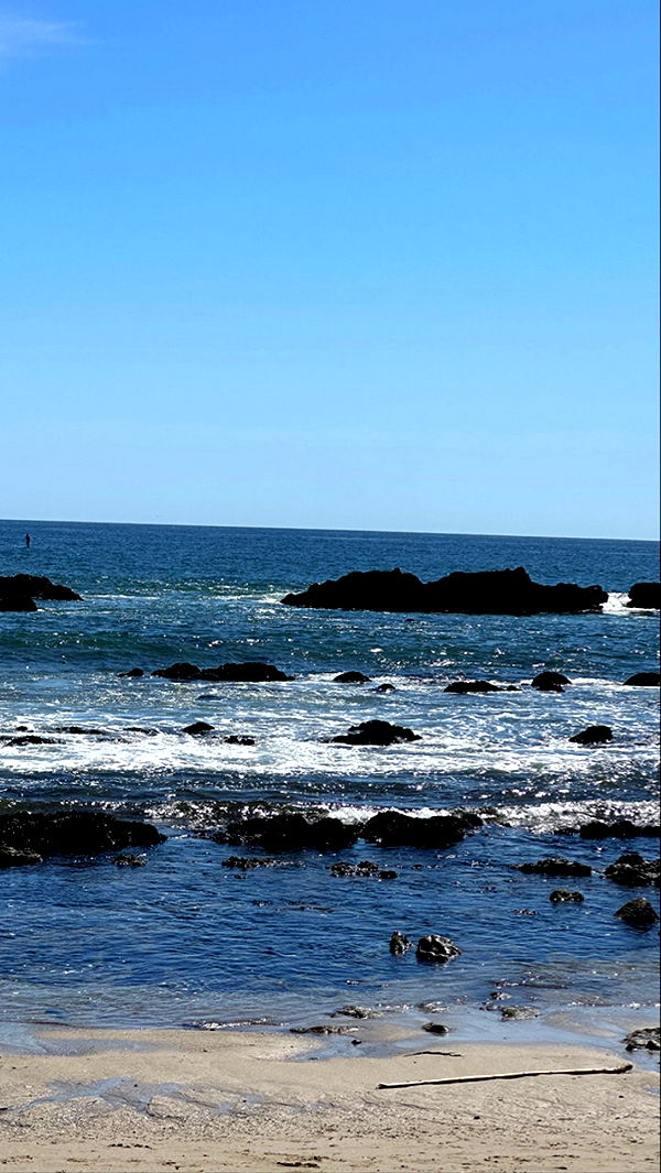 graceboor image ~ Altpins