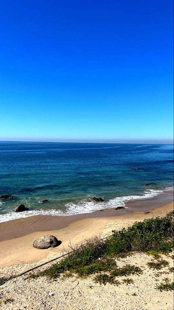 graceboor image ~ Altpins