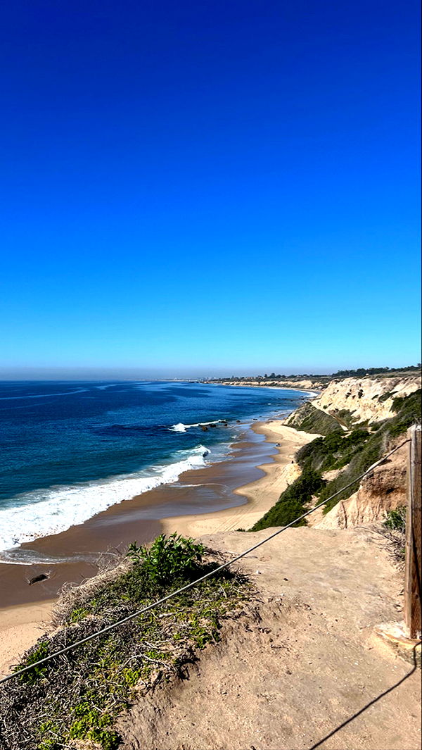 graceboor image ~ Altpins