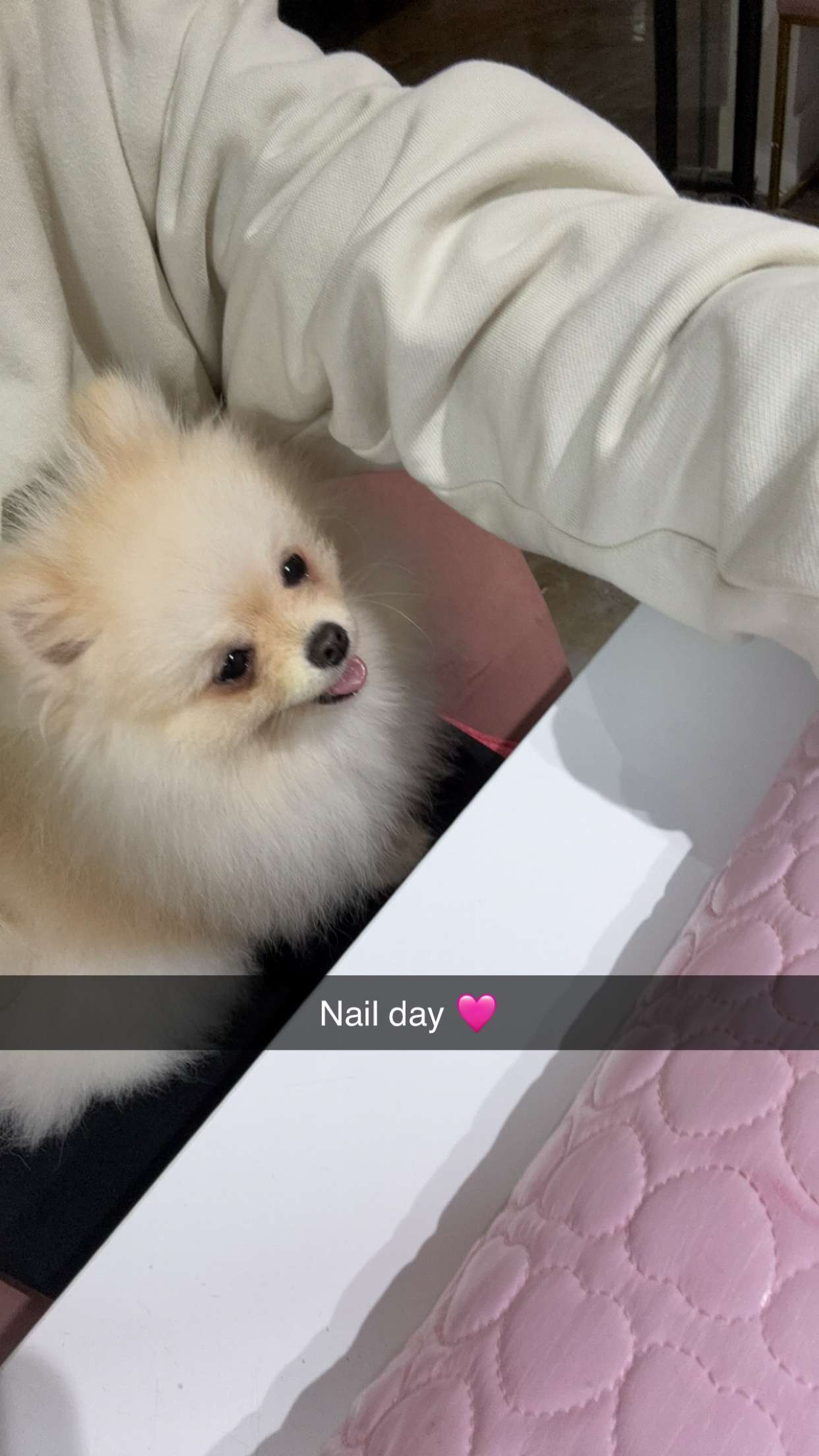 graceboor snapchat image archive image