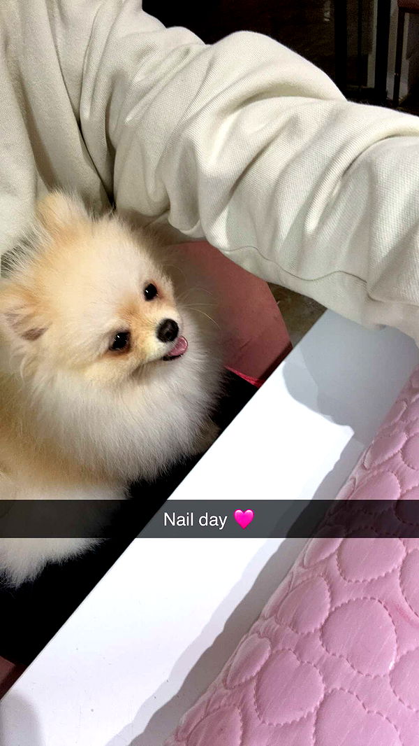 graceboor image ~ Altpins