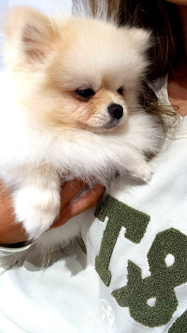 graceboor image ~ Altpins