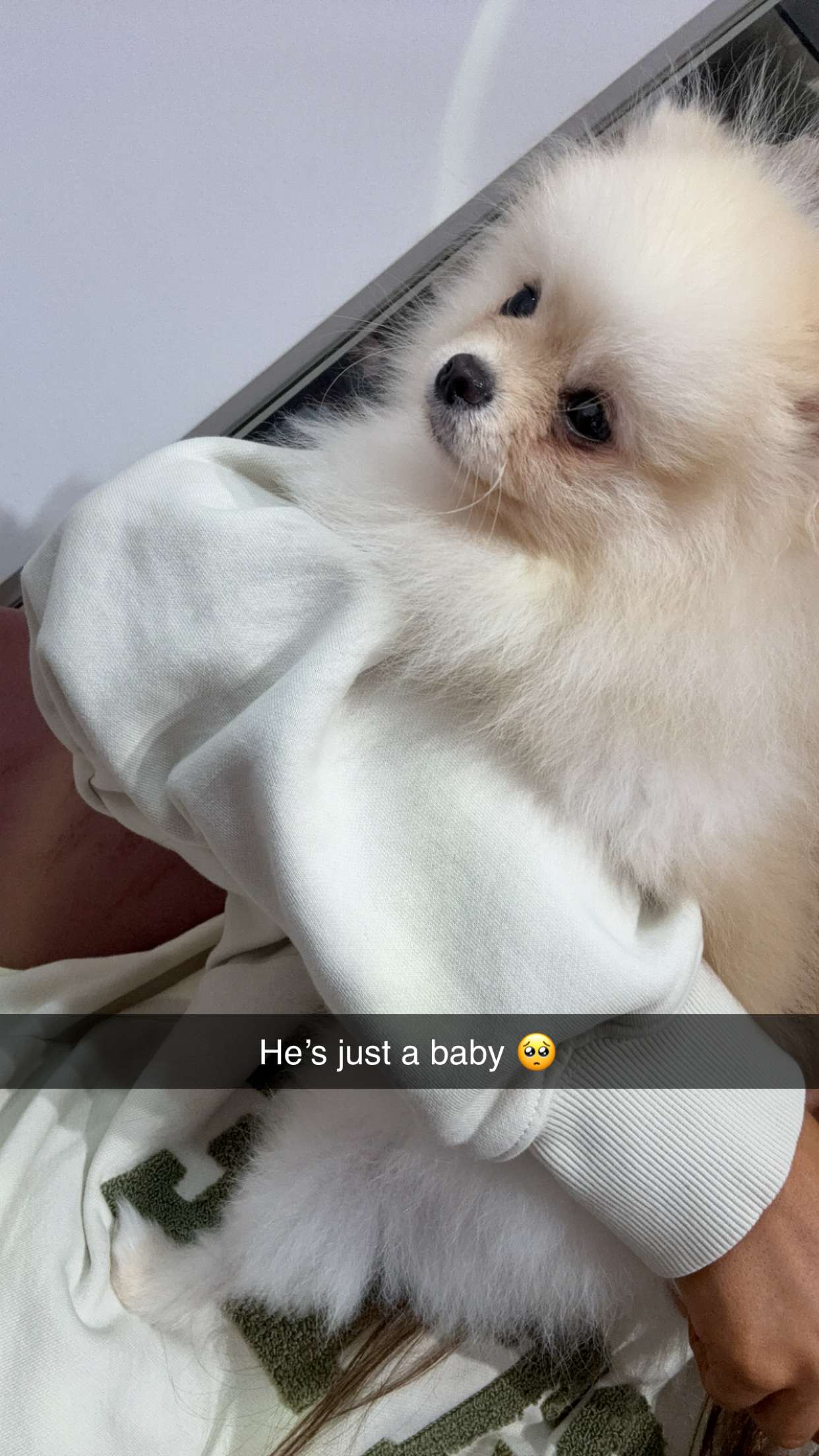 graceboor snapchat image archive image