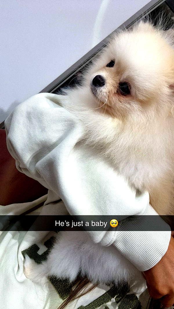 graceboor image ~ Altpins