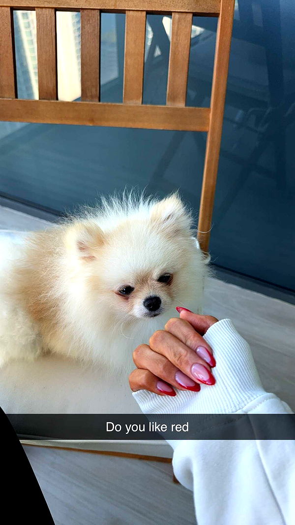 graceboor image ~ Altpins