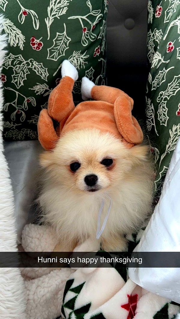 graceboor image ~ Altpins