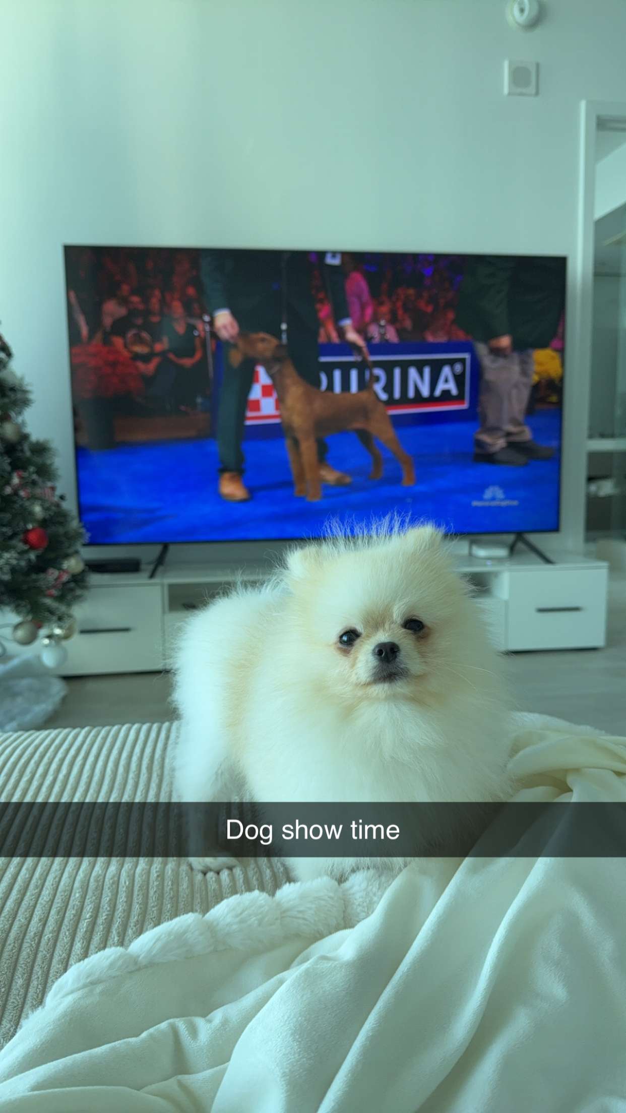 graceboor snapchat image archive image