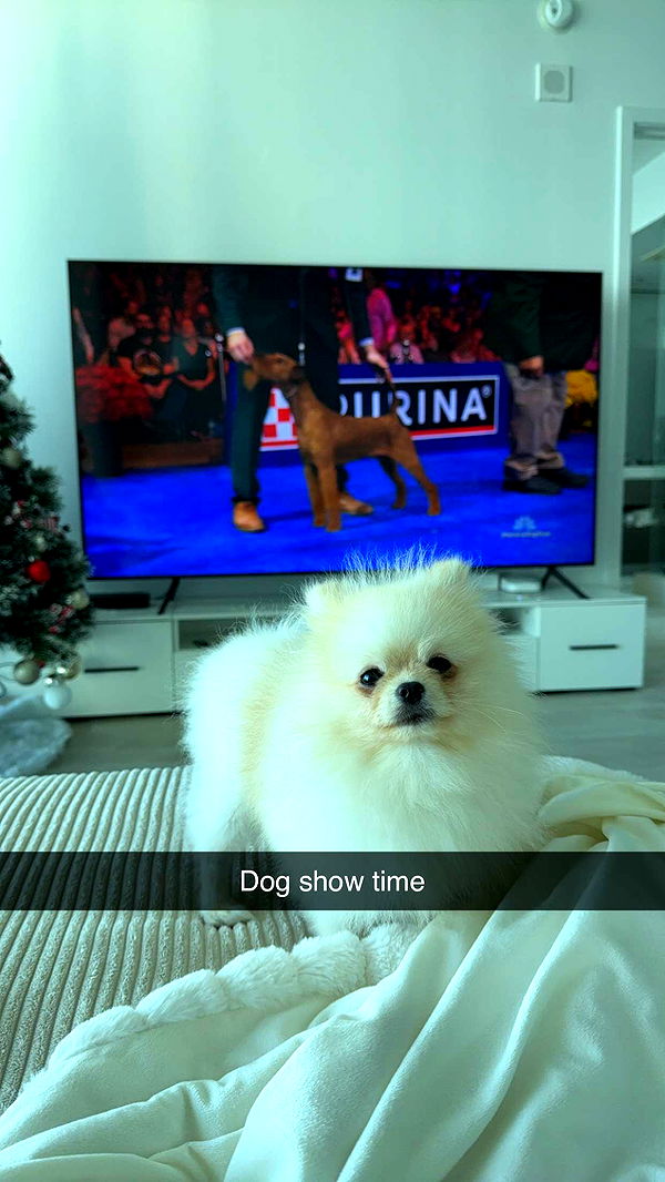 graceboor image ~ Altpins