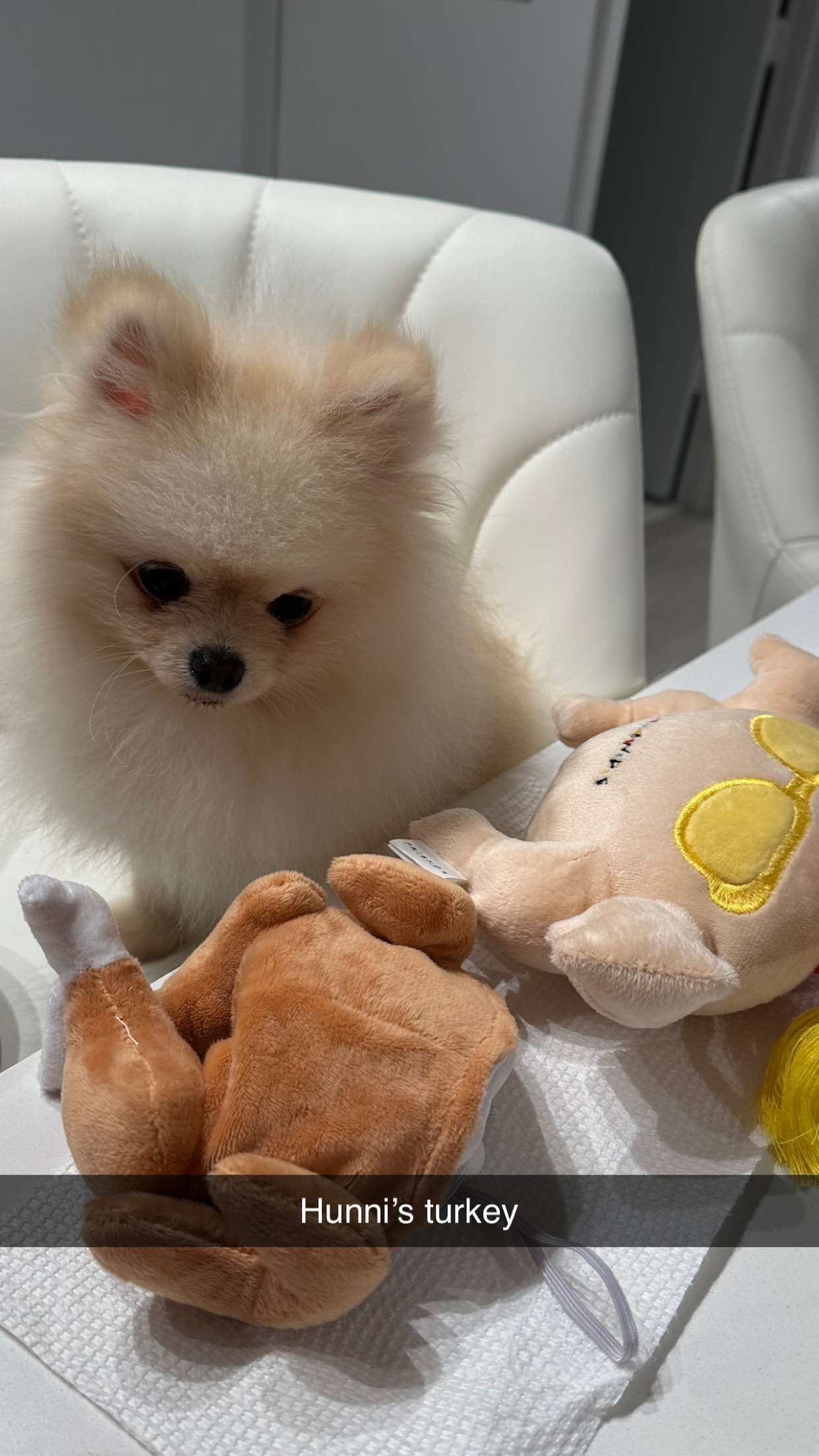 graceboor snapchat image archive image