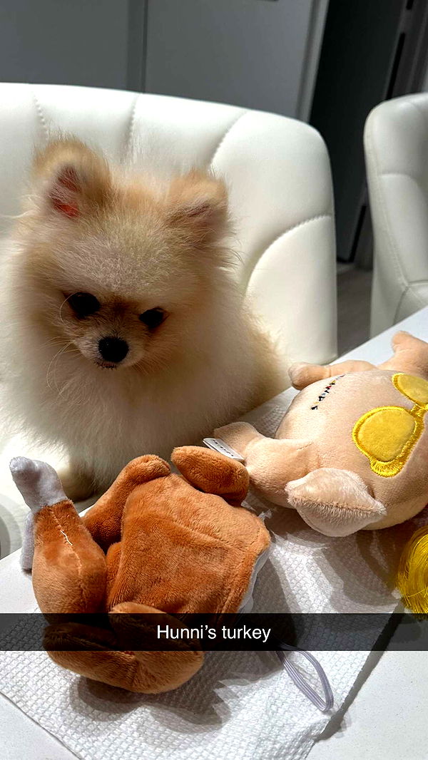 graceboor image ~ Altpins