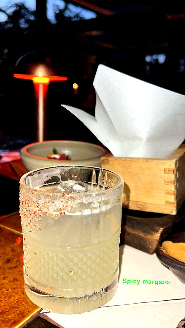 graceboor image ~ Altpins