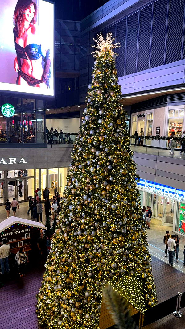 graceboor image ~ Altpins