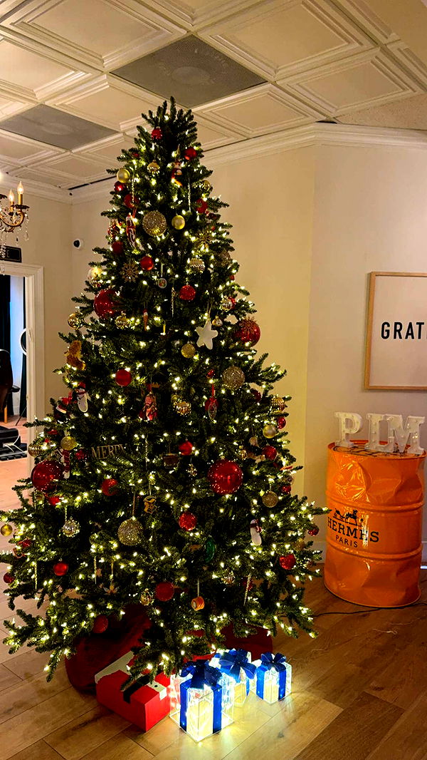 graceboor image ~ Altpins