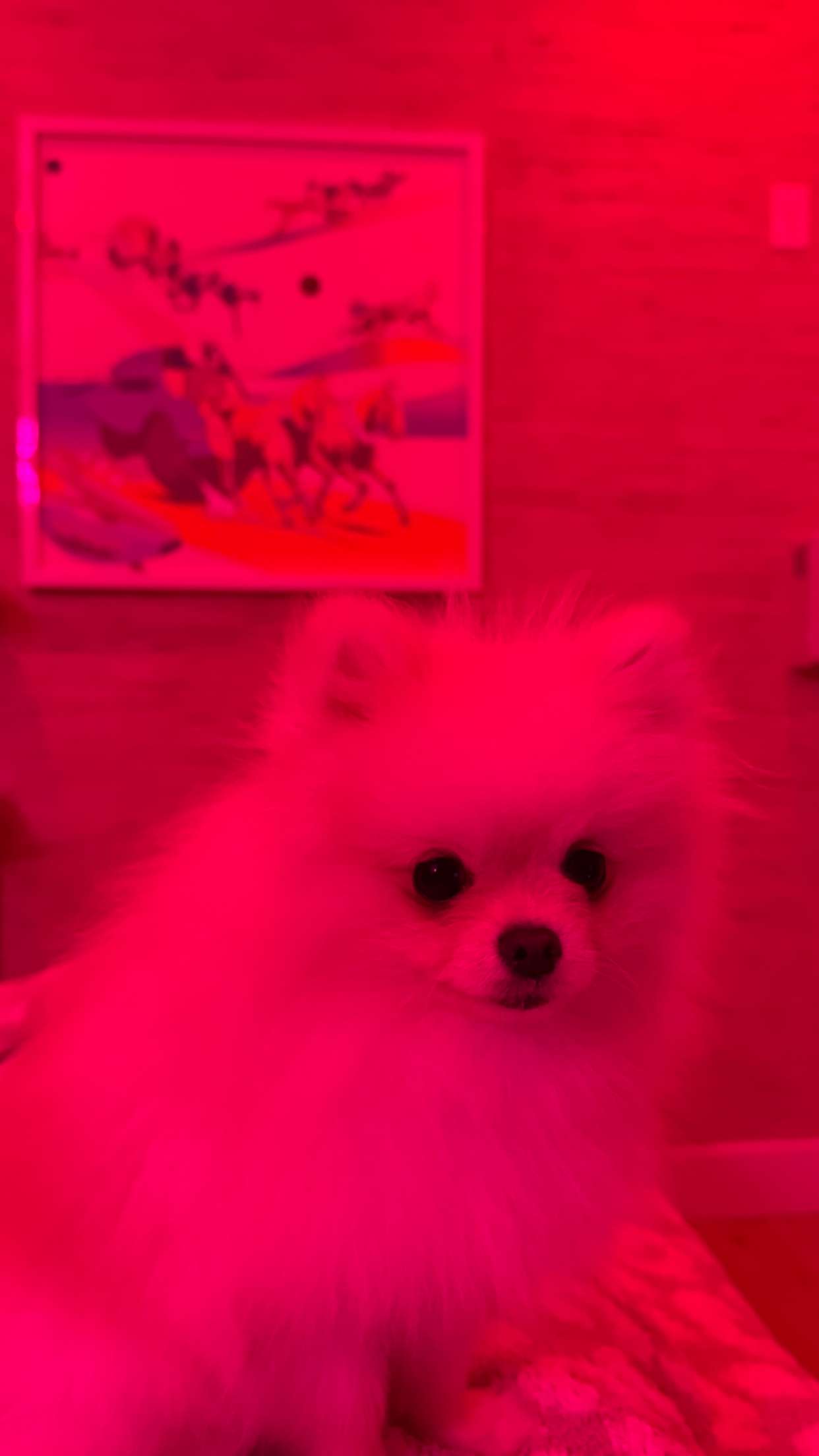 graceboor snapchat image archive image